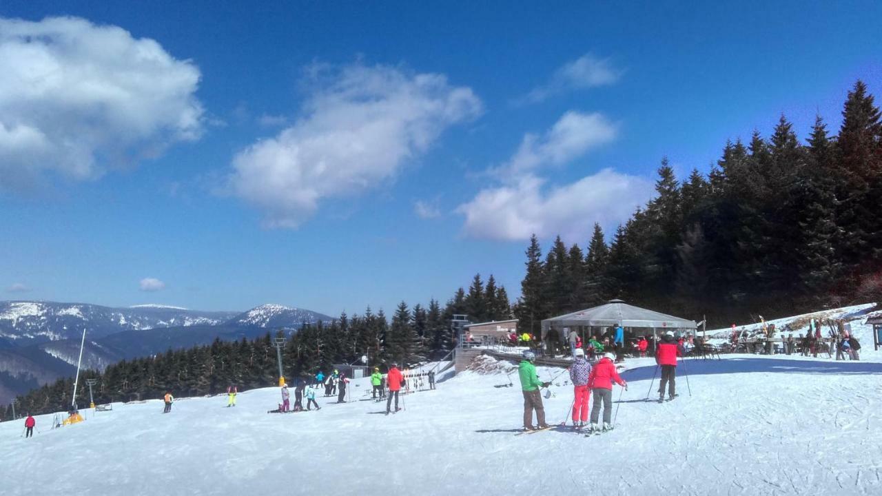 Appartamento A34 Loučná nad Desnou Esterno foto